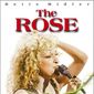 Poster 4 The Rose