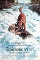 Film - Homeward Bound: The Incredible Journey