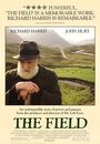 Film - The Field