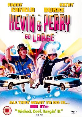 Kevin and Perry Go Large