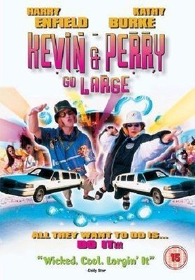 Kevin and Perry Go Large