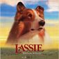 Poster 7 Lassie