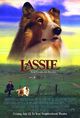 Film - Lassie