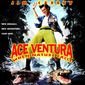 Poster 3 Ace Ventura: When Nature Calls