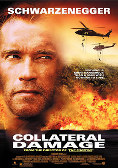 Collateral Damage online subtitrat
