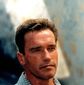 Foto 8 Arnold Schwarzenegger în Collateral Damage