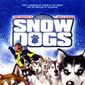 Poster 6 Snow Dogs