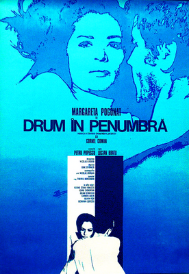 Drum în penumbră poster