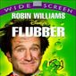 Poster 7 Flubber