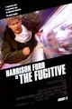 Film - The Fugitive