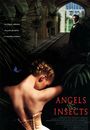 Film - Angels and Insects