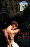 Îngeri și insecte