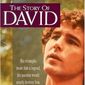 Poster 2 The Story of David