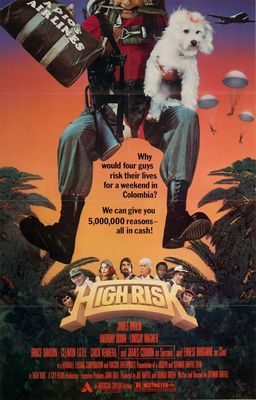 High Risk poster