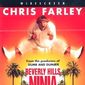 Poster 3 Beverly Hills Ninja