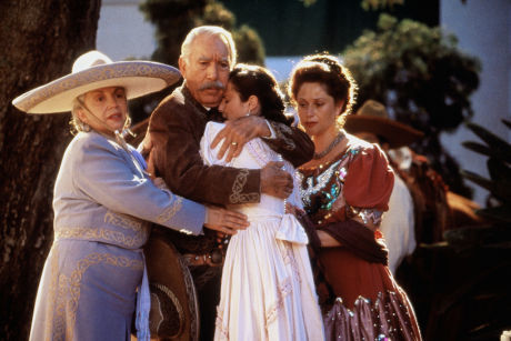 Imagini A Walk In The Clouds 1995 Imagini Atat De Aproape De Cer Imagine 2 Din 31 Cinemagia Ro