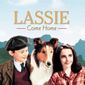 Poster 3 Lassie Come Home