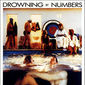 Poster 6 Drowning by Numbers