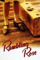 Film - Rambling Rose