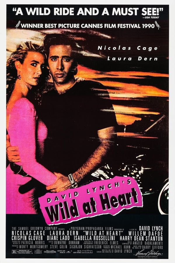 wild at heart filme