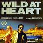 Poster 4 Wild at Heart