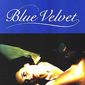 Poster 4 Blue Velvet