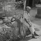 Pather Panchali/Song of the Road