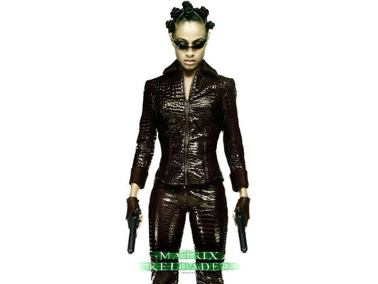 The Matrix Reloaded