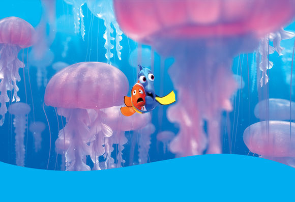 Finding Nemo