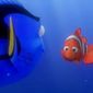 Foto 14 Finding Nemo