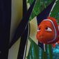 Foto 49 Finding Nemo