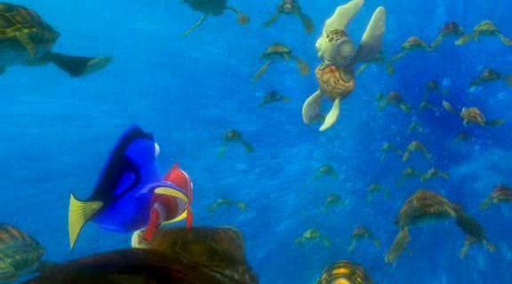 Finding Nemo