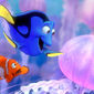 Foto 61 Finding Nemo