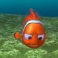 Foto 37 Finding Nemo