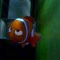 Foto 22 Finding Nemo