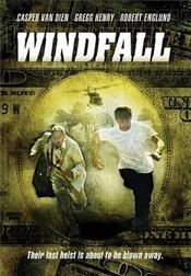 Poster Windfall