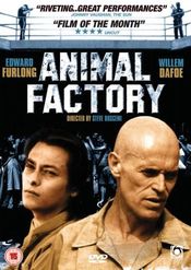 Poster Animal Factory