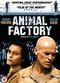 Film Animal Factory