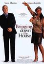 Film - Bringing Down the House