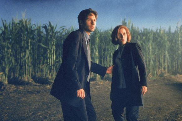 David Duchovny, Gillian Anderson în The X Files