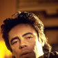 Foto 20 Benicio Del Toro în The Hunted