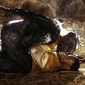 Foto 9 Jeepers Creepers 2