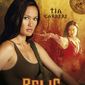 Poster 1 Relic Hunter