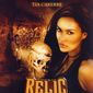 Poster 3 Relic Hunter