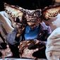 Foto 33 Gremlins 2: The New Batch