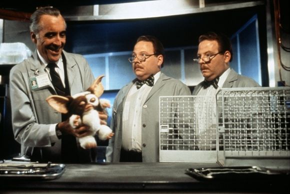 Gremlins 2: The New Batch
