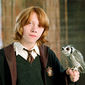 Foto 68 Harry Potter and the Goblet of Fire