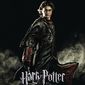 Poster 23 Harry Potter and the Goblet of Fire