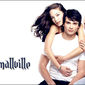 Poster 30 Smallville