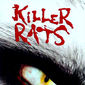 Poster 1 Rats